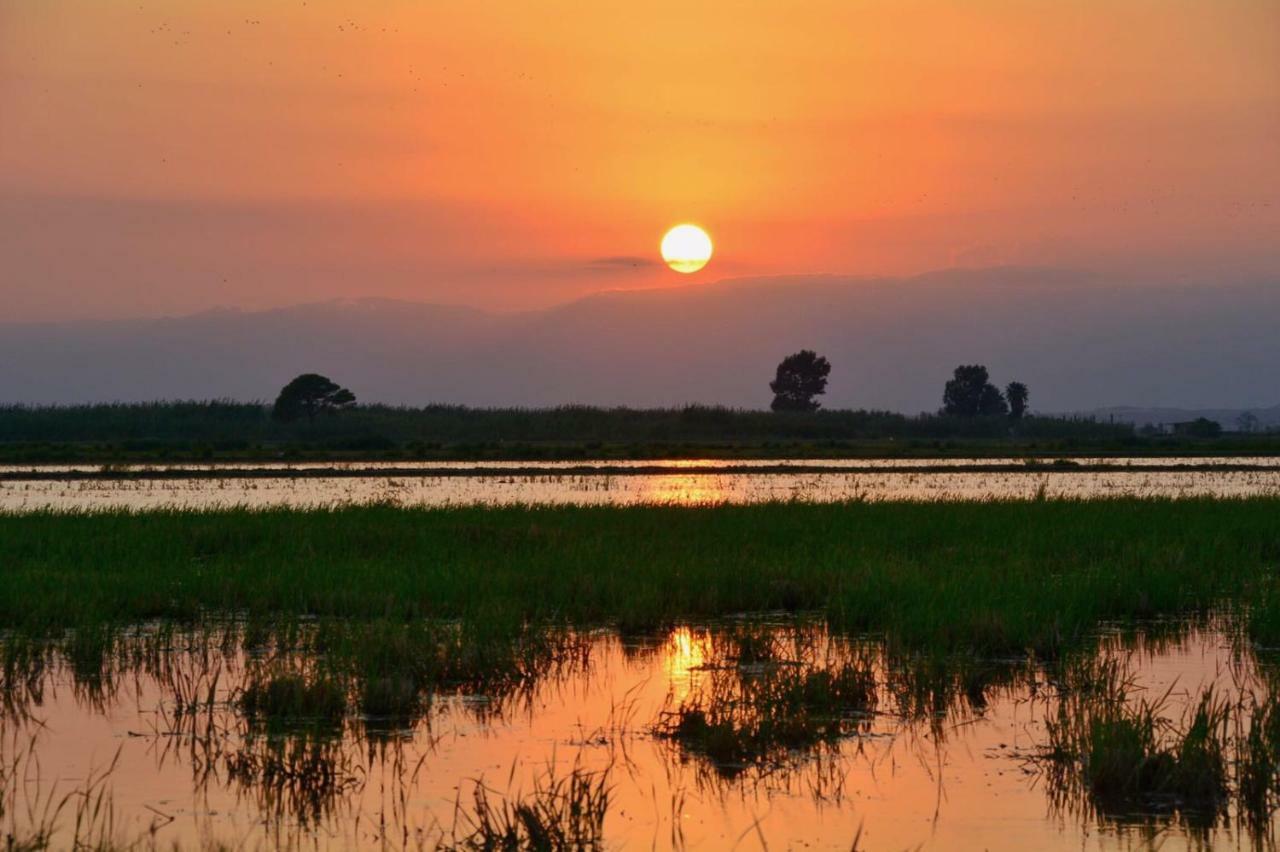 L' Espiga - Casa Rural เดลแตเบรอ ภายนอก รูปภาพ