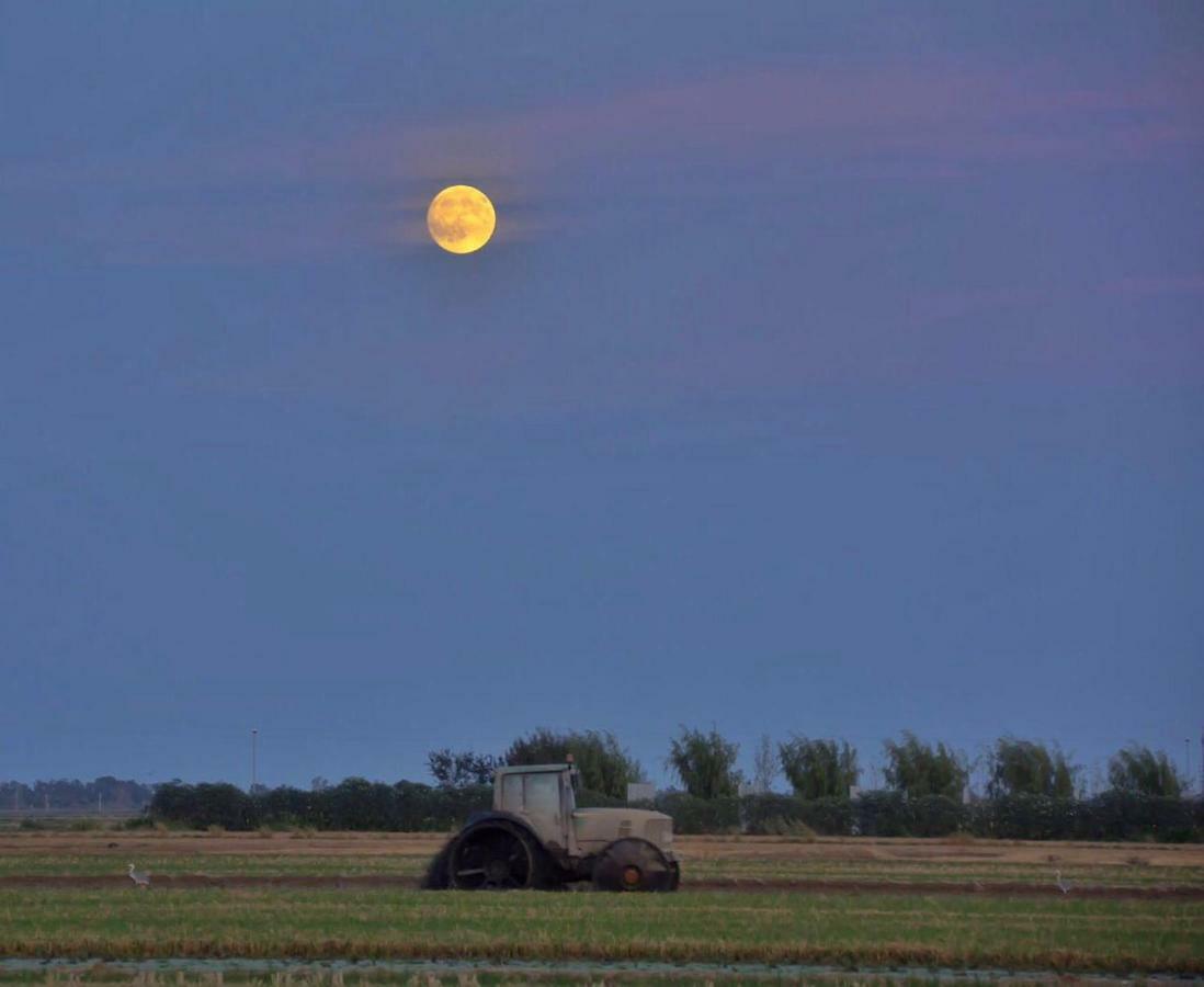 L' Espiga - Casa Rural เดลแตเบรอ ภายนอก รูปภาพ